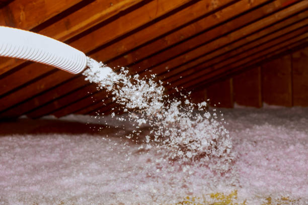 Types of Insulation We Offer in New Bern, NC